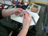 Making Kiwis in 12th Scale - Angie Scarr Exotic Fruit DVD