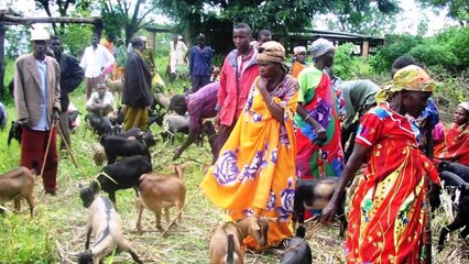 LOS 5 PAÍSES MÁS POBRES DEL MUNDO