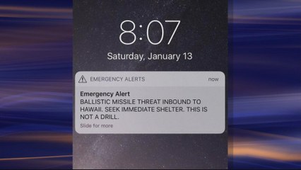 Hawaii: False missile alert sparks panic in the island