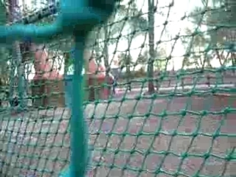 Tancrède au parc sur le pont suspendu