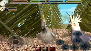 Ultimate Bird Simulator - Life of Cockatoo - Android/iOS - Gameplay Part 4