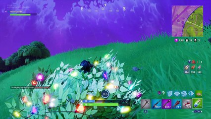 First Fortnight Win