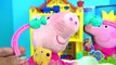 Nick Jr. PEPPA PIG CARRY CASE, Nurse Medic Princess, Magical PLUSH Toy Surprises, Shopkins / TUYC