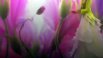 Peliculas Infantiles 2016 Completas en Español Latino TV