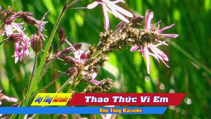 Karaoke - Thao Thức Vì Em - Nhạc Sống Cha Cha Cha Hay Nhất 2018