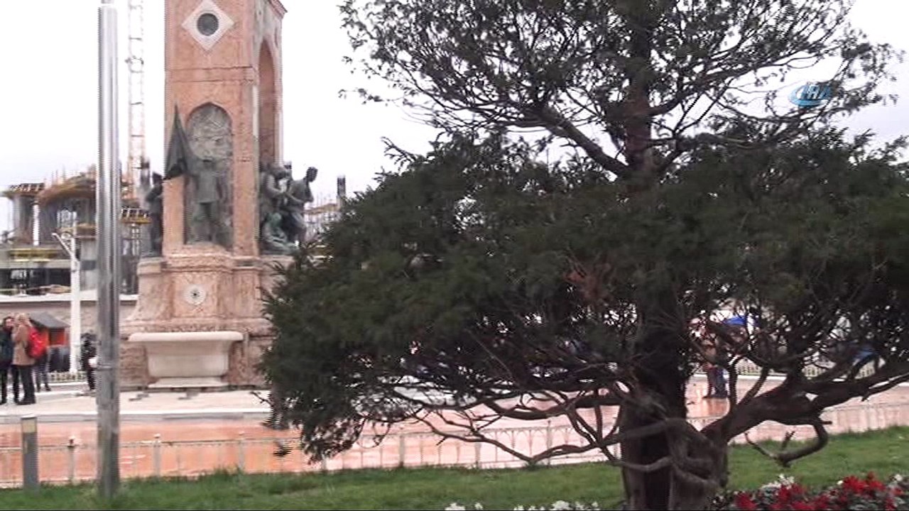 Aç kalan yüzlerce serçe kuşu Taksim'i istila etti