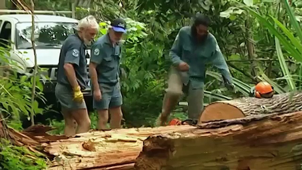 Ants Documentary Channel Red Crabs on Christmas Island Australia