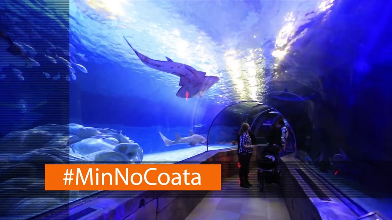 Shopping Vlog: 3 Days in Mall of America (MOA) in Minneapolis