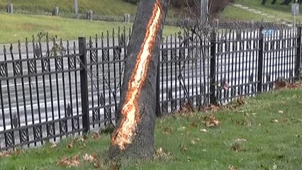 Şişli'de Sürücü Takla Atan Araçtan Burnu Bile Kanamadan Çıktı