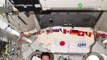 Kesalahan astronot: Astronot mengira dirinya tambah tinggi ternyata tidak - TomoNews