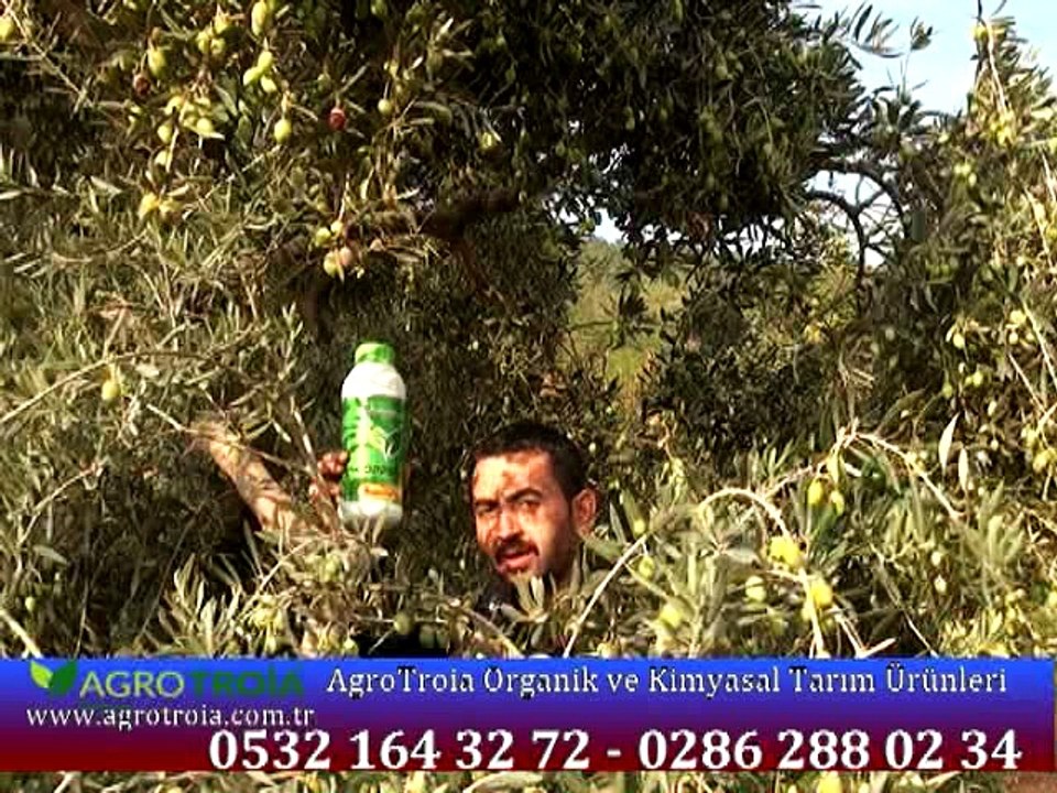 357 Kuşadası Manisa