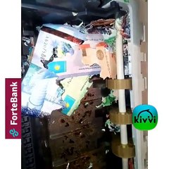 على طريقة «حب فى الزنزانة».. الفئران تقتحم صراف آلى وتأكل أمواله