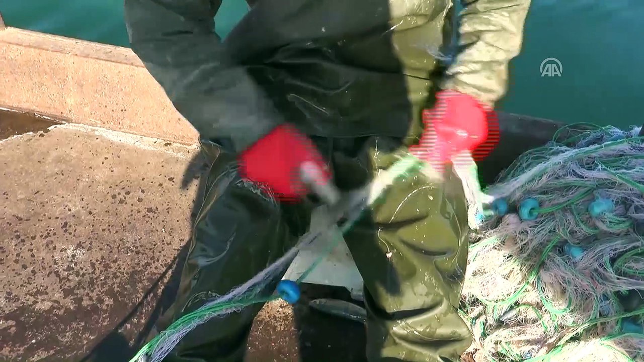 Erçek Gölü'nde inci kefali sevinci - VAN