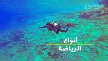 أنواع الرياضة