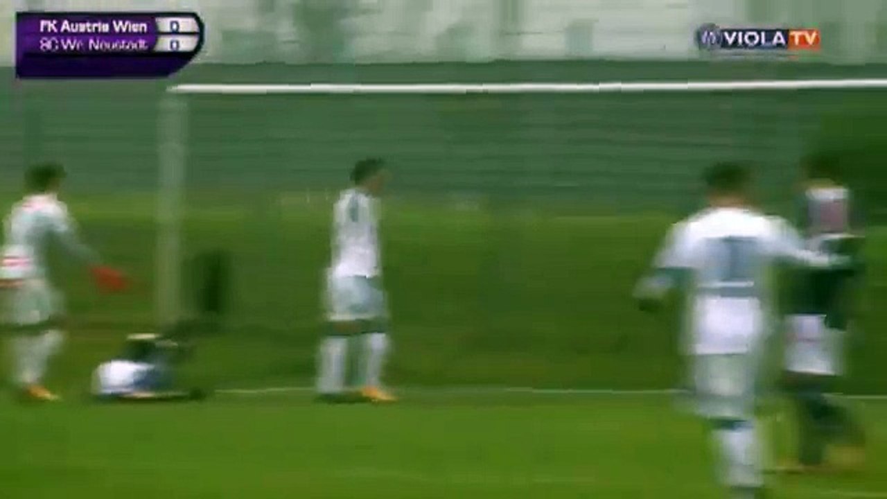Austria 0:1 Wiener Neustadt (Friendly Match. 13 January 2018)