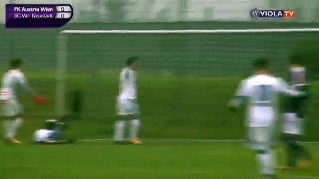 Austria 0:1 Wiener Neustadt (Friendly Match. 13 January 2018)