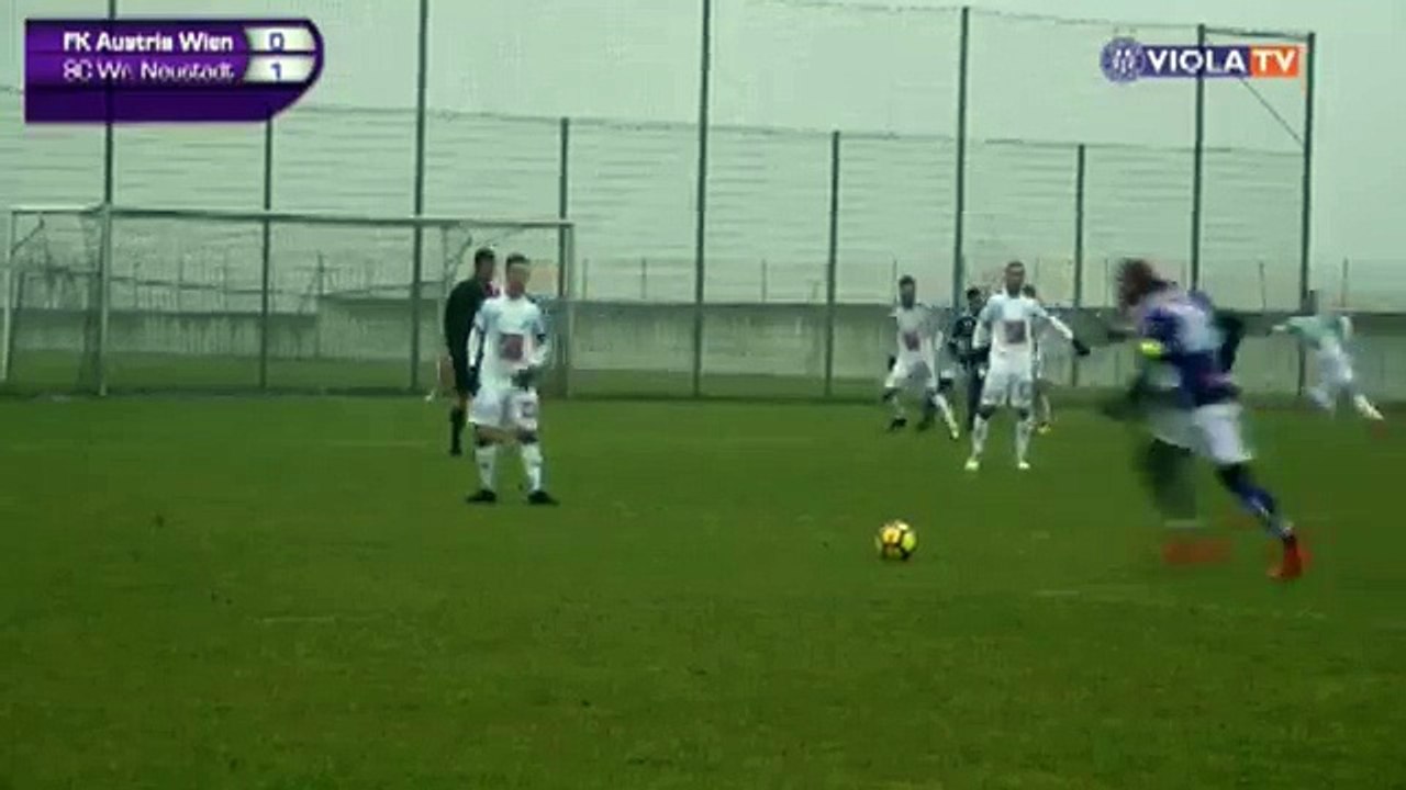 Austria 1:1 Wiener Neustadt (Friendly Match. 13 January 2018)
