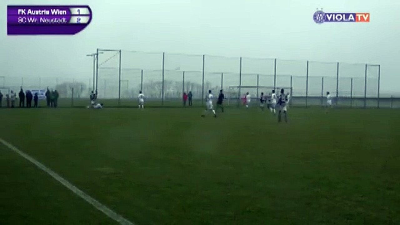 Austria 2:2 Wiener Neustadt (Friendly Match. 13 January 2018)