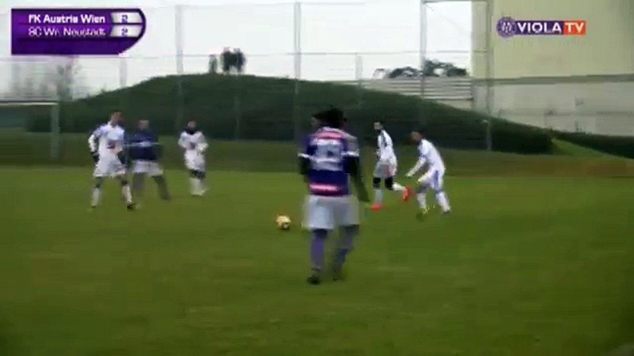 Austria 3:2 Wiener Neustadt (Friendly Match. 13 January 2018)
