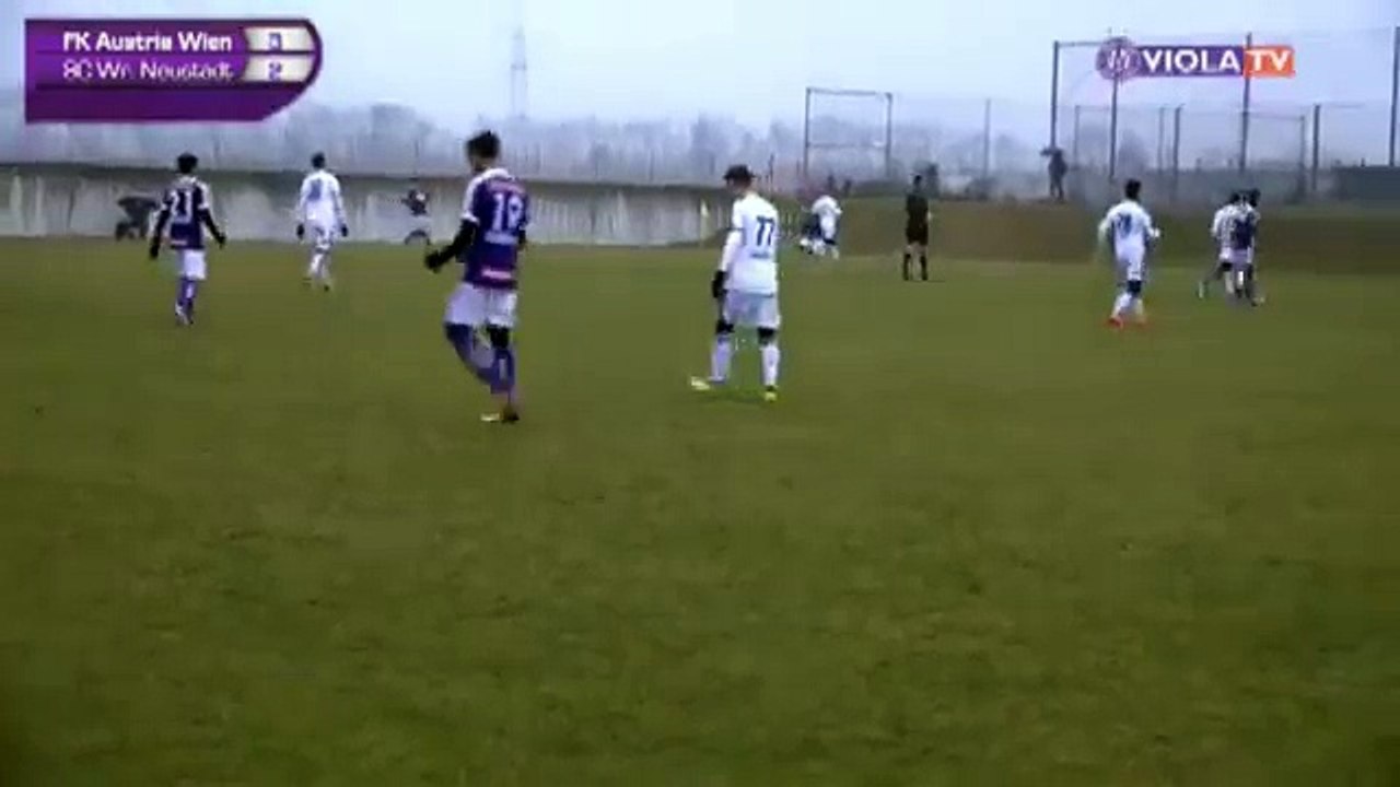 Austria 4:2 Wiener Neustadt (Friendly Match. 13 January 2018)