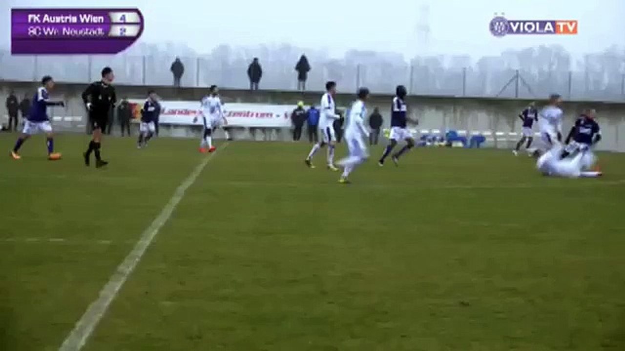 Austria 5:2 Wiener Neustadt (Friendly Match. 13 January 2018)