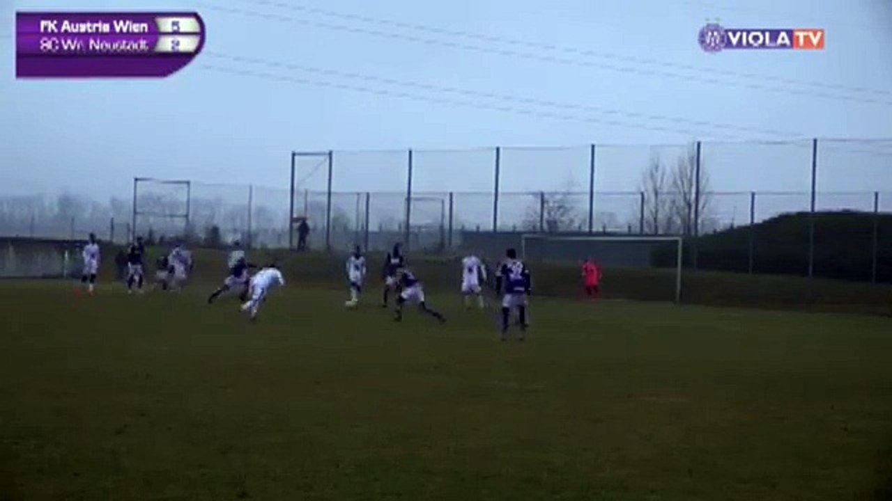 Austria 6:2 Wiener Neustadt (Friendly Match. 13 January 2018)