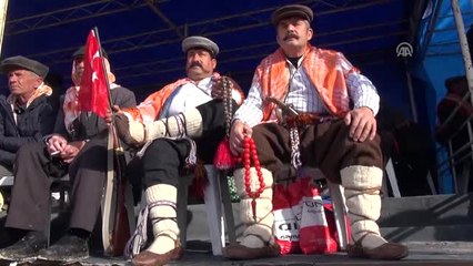 Germencik'te Deve Güreşleri Festivali Yapıldı