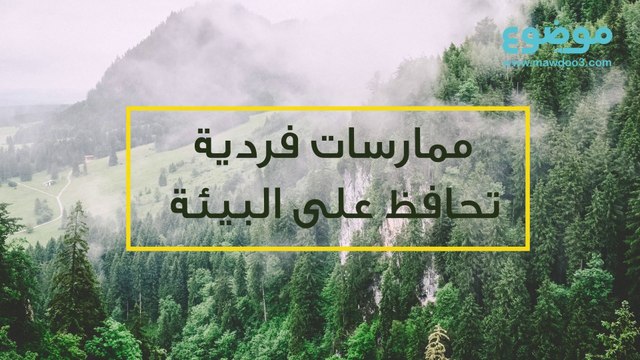 كيف نحافظ على البيئة؟ إليك أهم الطرق!