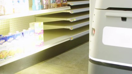 Please Don't Kick the Inventory Bot