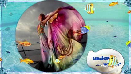 Silent Partner - Hounds