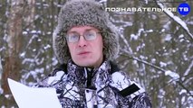 Почему в Турции убили российского посла? (Познавательное ТВ, Артём Войтенков)