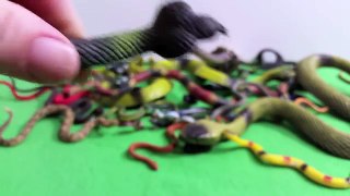 HUGE Toy Snakes Collection Real Snake Sounds- Toy Animals- Serpientes de Juguete