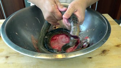 EXTREMELY GRAPHIC: Live Eel Kabayaki (Japanese BBQ) | How To Make Series