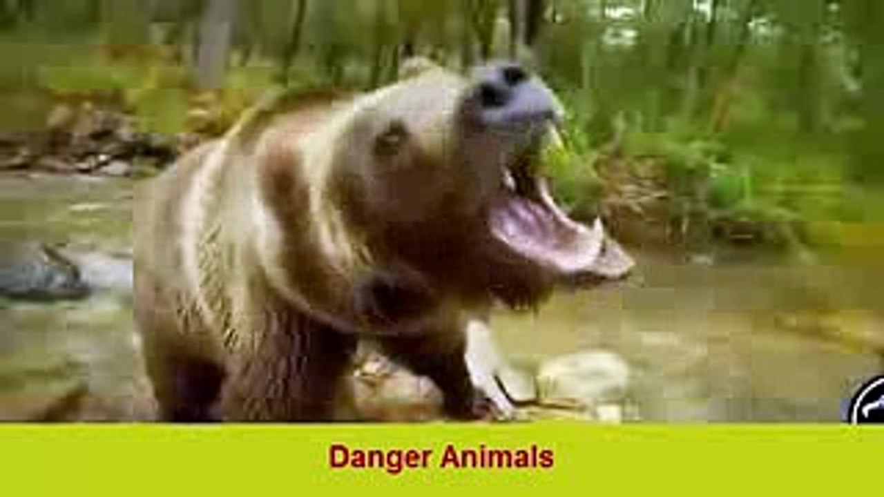 ✪ Amazing Wild Animal Attacks 4 -lion- tiger- Crocodile -deer-anaconda✔animal fights ✔Danger Animals
