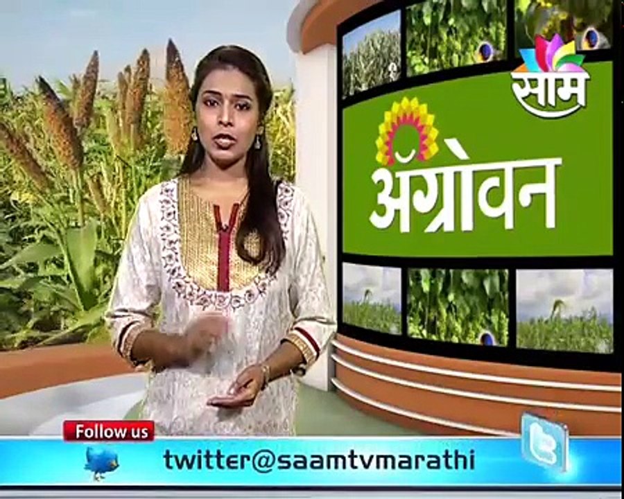 Subhash Mayekars Goat farming Success Story