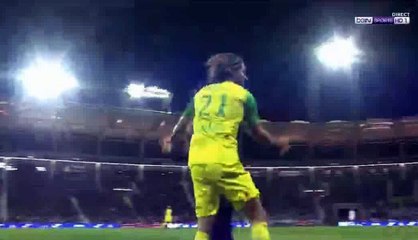 Rene Krhin Goal - Toulouse 0-1 Nantes 17-01-2018
