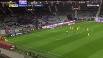 Rene Krhin  Goal HD - Toulouse	0-1	Nantes 17.01.2018