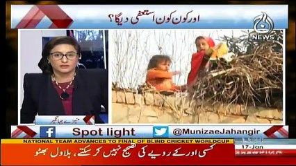 Spot Light - 17th January 2018