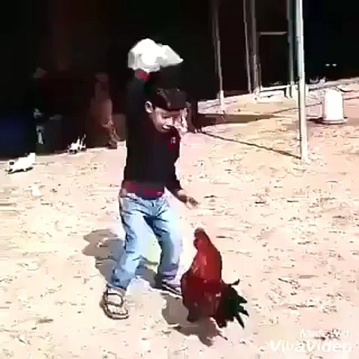 coçukla horozon kavgası=)))
