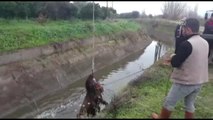Sulama Kanalına Düşen Atı İtfaiye Kurtardı