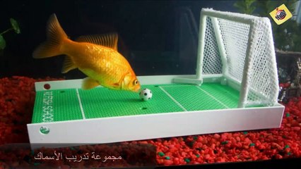 أغبى 10 أختراعات فى العالم تم تصنيعها وتباع بالفعل