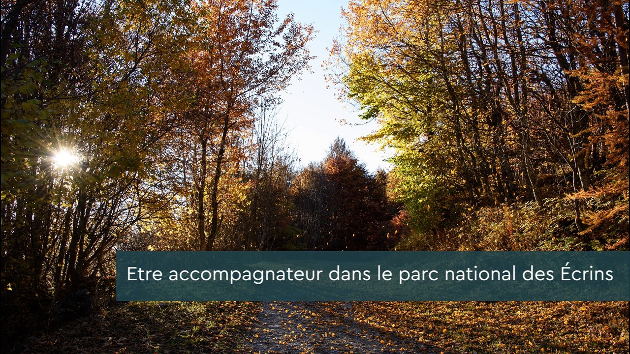 Accompagnateurs en montagne, paroles d'ambassadeurs Esprit parc national dans les Ecrins