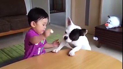 Whatsapp funny videos 2018 - Most funny DOG AND KIDS Videos 2018 | yt funny mazy