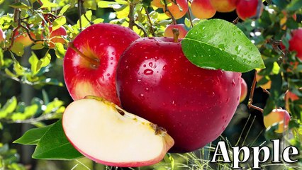 Learn names of Fruits and Vegetables in English. Learn English for Kids Babies Children (Part 1)