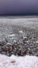 Lake Michigan Ice Spheres