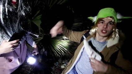 LOGAN PAUL ENCUENTRA A SHREK MUERT0 [PARODIA ALECMOLON]