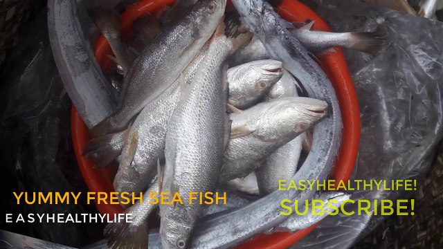 Amazing Fresh Sea fish Fresh Squid Kinds of Fresh Sea Fish Dungeness crab Fresh Sea Prawn