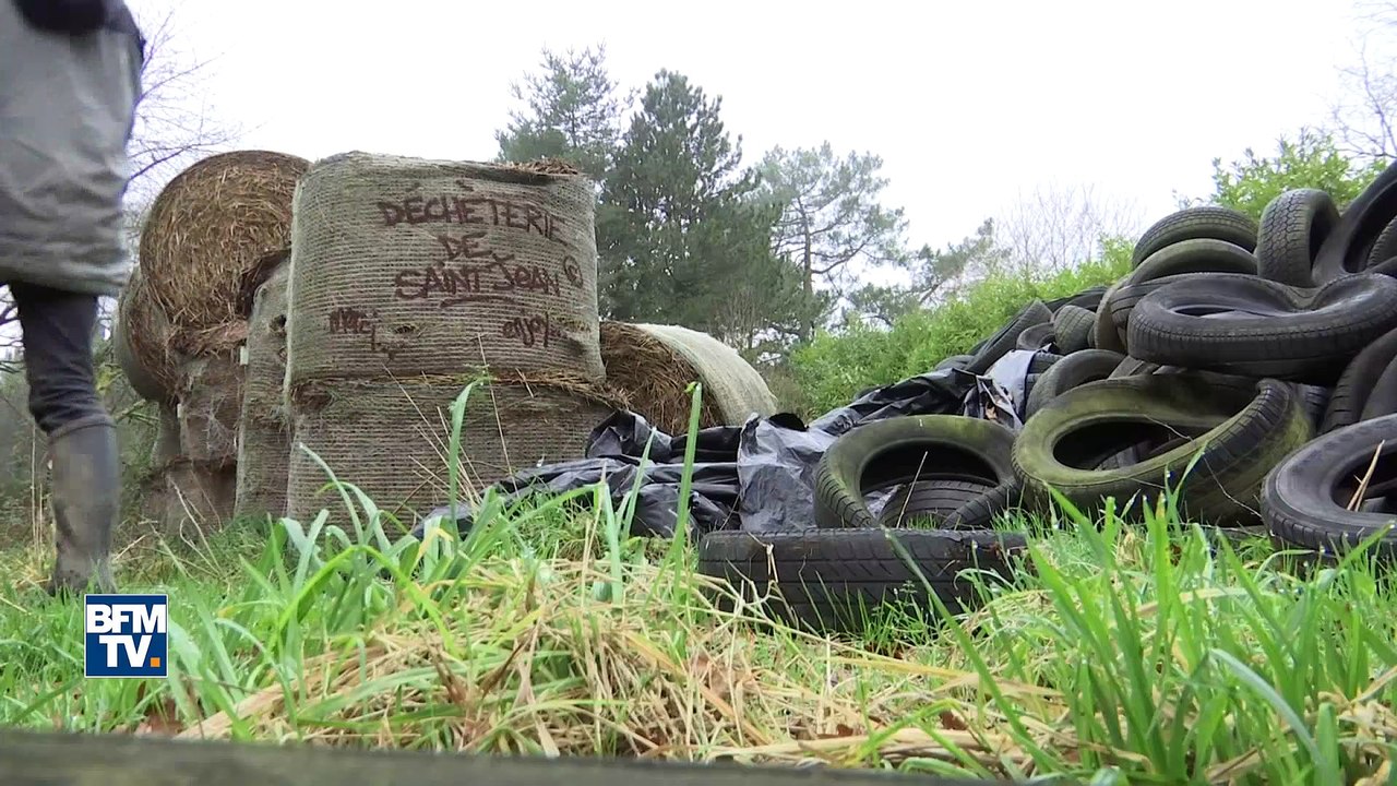 Notre-Dame-des-Landes: comment les zadistes s'organisent face à l'évacuation de la ZAD