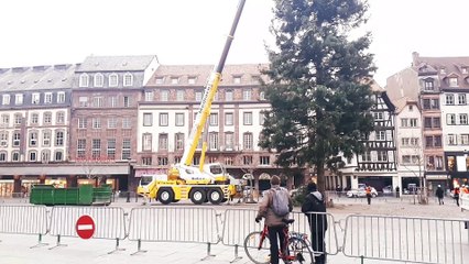 Démontage du grand sapin de la place Kléber