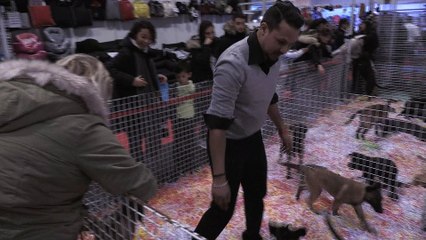 Salon de l'animal de compagnie 2018 ce week-end à Paris